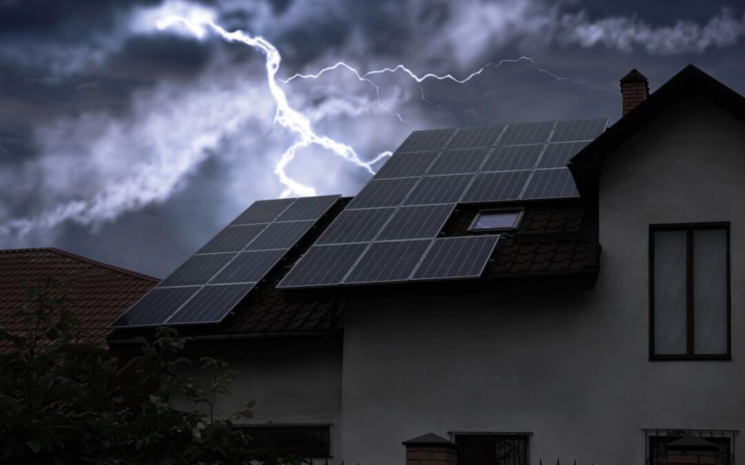 1.3.4-Schadensprävention: PV-Anlagen vor Tierverbiss und Unwetterschäden schützen